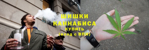 шишки Беломорск