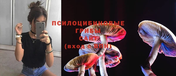 ГАЛЛЮЦИНОГЕННЫЕ ГРИБЫ Белокуриха