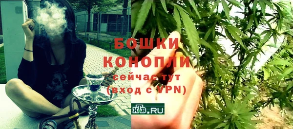 ГАЛЛЮЦИНОГЕННЫЕ ГРИБЫ Белокуриха