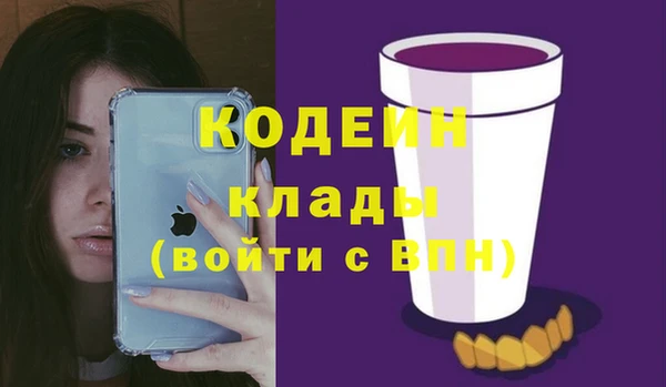 шишки Беломорск