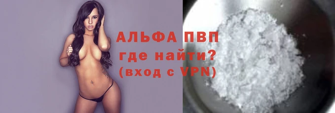 шишки Беломорск