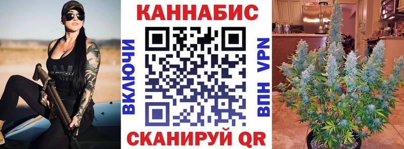 Конопля VHQ как найти наркотики Борисоглебск
